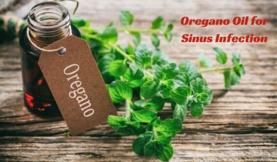 How Oregano Oil Can Be Beneficial In Treating Sinus Pain?