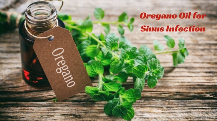 How Oregano Oil Can Be Beneficial In Treating Sinus Pain?