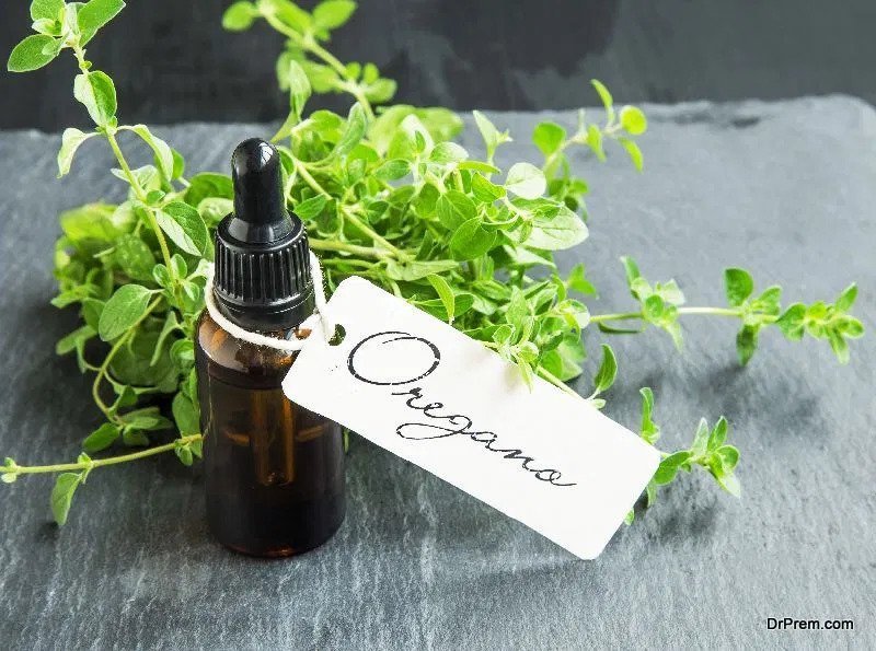 Amazing Benefits Of Oil Of Wild Oregano For Your Skin