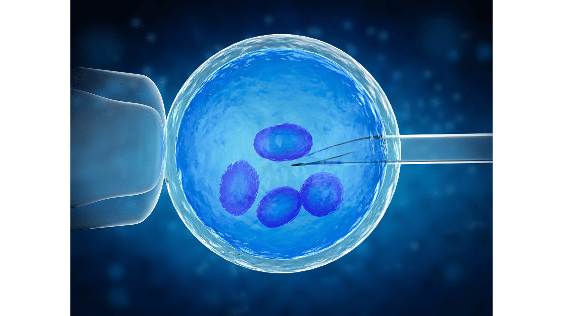 IVF Centre in Jalandhar: A Complete Guide to the Process